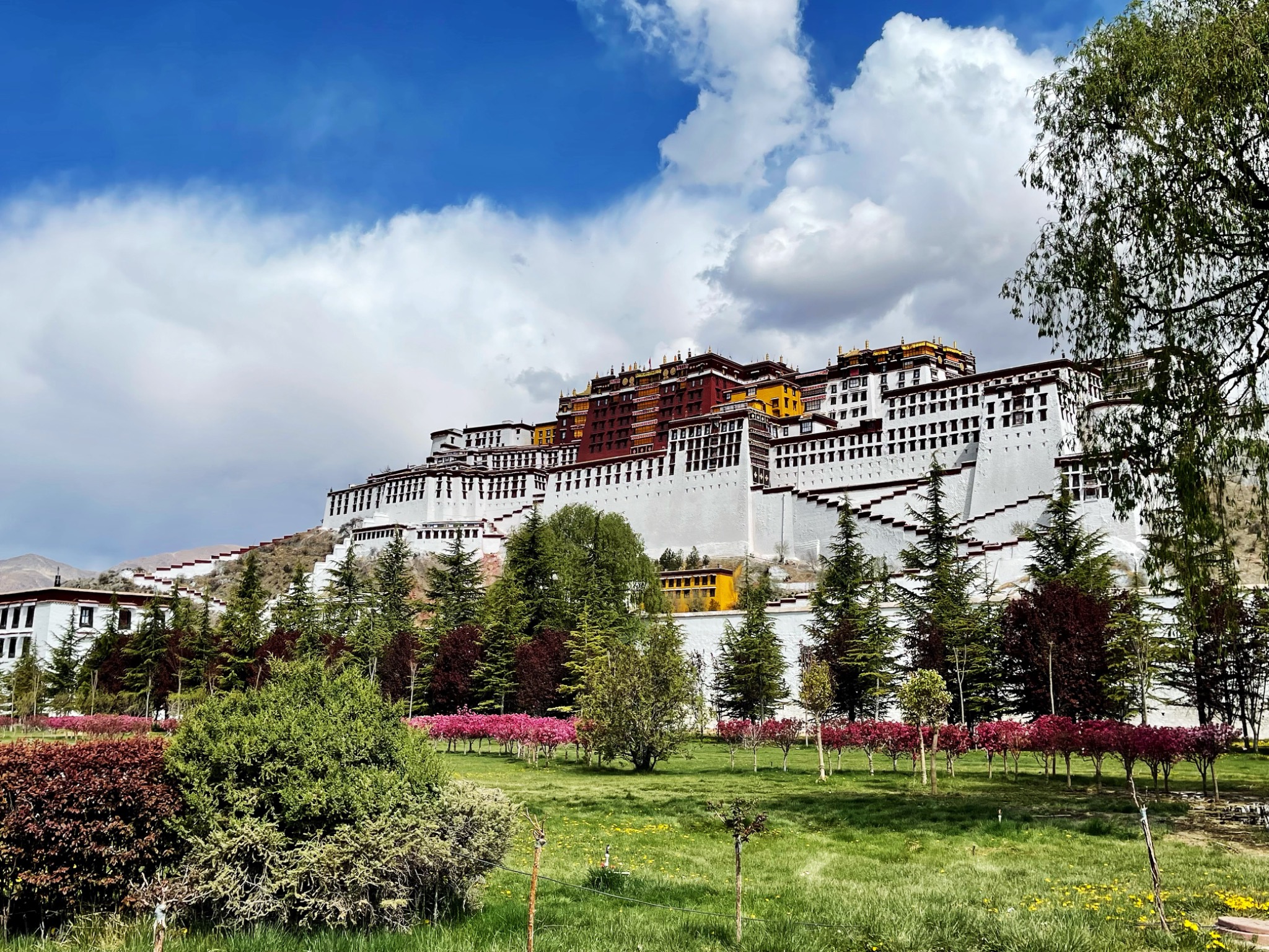 The Potala Palace in Lhasa beneath white summer clouds